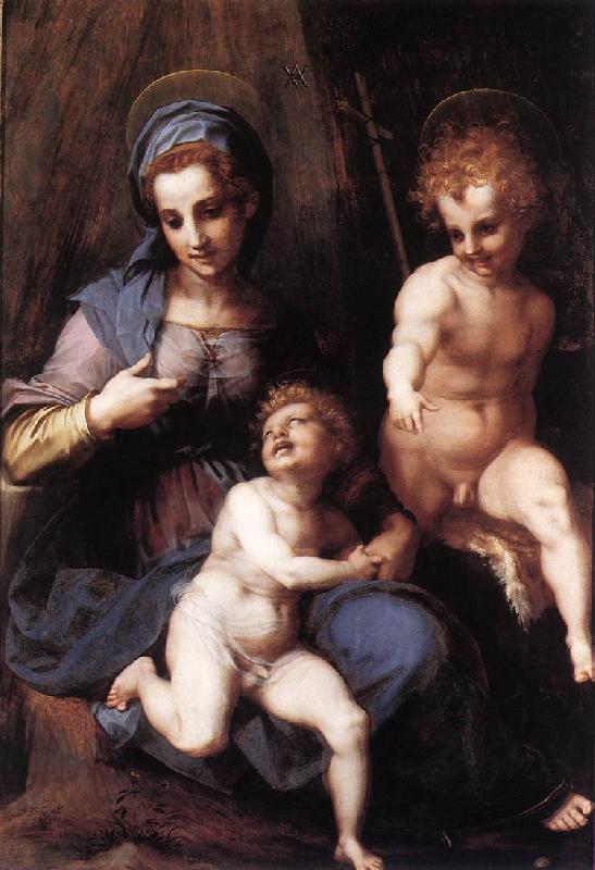 Andrea del Sarto Madonna and Child with the Young St John oil painting image